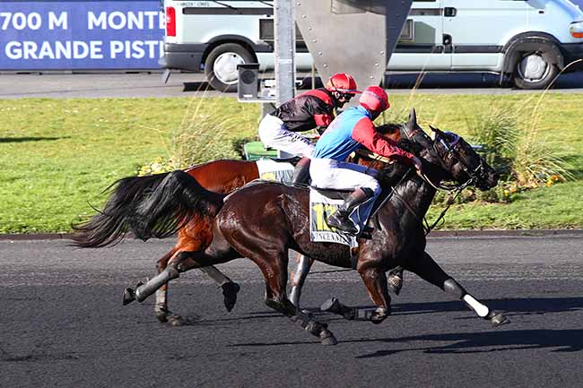 Photo d'arrivée de la course pmu PRIX DE FALOT à PARIS-VINCENNES le Lundi 17 février 2020