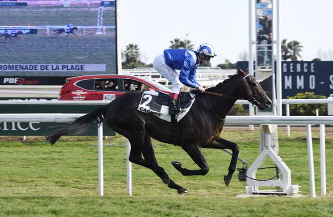 Photo d'arrivée de la course pmu PRIX DE LA PROMENADE DE LA PLAGE à CAGNES-SUR-MER le Mercredi 19 février 2020