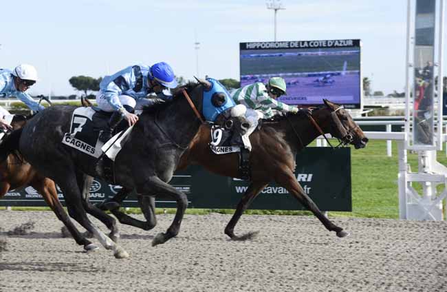 Photo d'arrivée de la course pmu PRIX DES GENEVRIERS à CAGNES-SUR-MER le Mercredi 19 février 2020