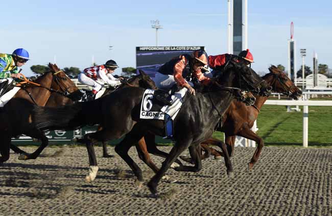 Photo d'arrivée de la course pmu PRIX DE CARPENTRAS à CAGNES-SUR-MER le Mercredi 19 février 2020