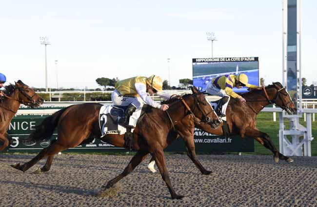 Photo d'arrivée de la course pmu PRIX DU MERCANTOUR à CAGNES-SUR-MER le Mercredi 19 février 2020