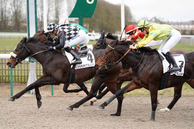 Photo d'arrivée de la course pmu PRIX DU CROCHET DE COYE à CHANTILLY le Jeudi 20 février 2020
