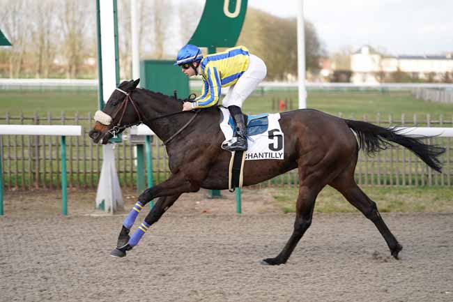 Photo d'arrivée de la course pmu PRIX DU CHEMIN DE PARIS à CHANTILLY le Jeudi 20 février 2020