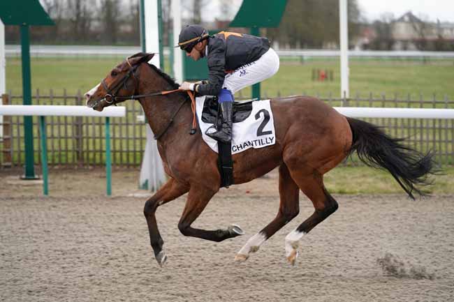 Photo d'arrivée de la course pmu PRIX DE LA ROUTE DES SUISSES à CHANTILLY le Jeudi 20 février 2020