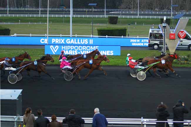 Photo d'arrivée de la course pmu PRIX GALLUS II à PARIS-VINCENNES le Vendredi 21 février 2020