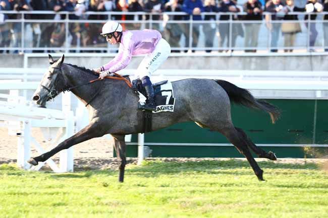 Photo d'arrivée de la course pmu PRIX DE PARISLONGCHAMP à CAGNES-SUR-MER le Samedi 22 février 2020