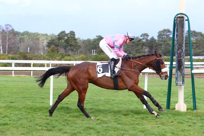 Photo d'arrivée de la course pmu PRIX JACQUES GELIOT à FONTAINEBLEAU le Mercredi 26 février 2020