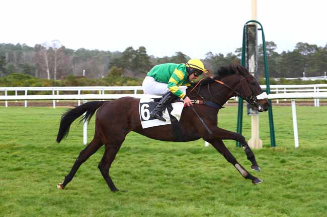 Photo d'arrivée de la course pmu PRIX DES DAGUETS à FONTAINEBLEAU le Mercredi 26 février 2020