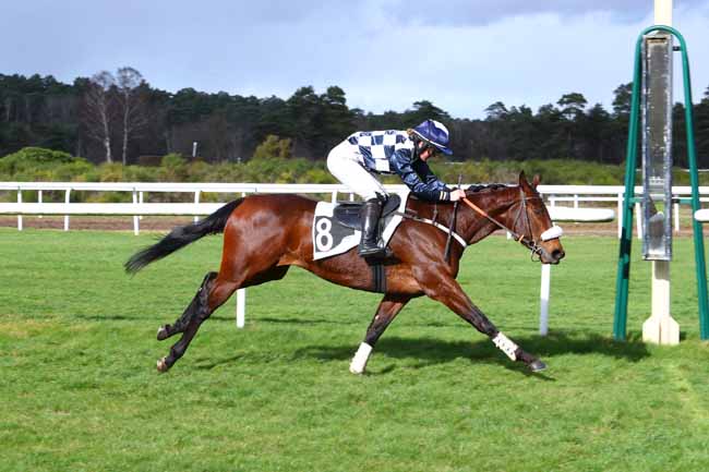 Photo d'arrivée de la course pmu PRIX DE BOULIGNY à FONTAINEBLEAU le Mercredi 26 février 2020