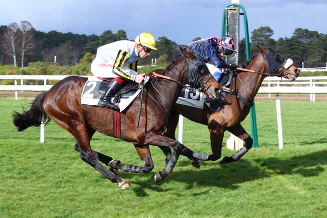 Photo d'arrivée de la course pmu PRIX ENTREPRISE S. N. DUBUISSON à FONTAINEBLEAU le Mercredi 26 février 2020
