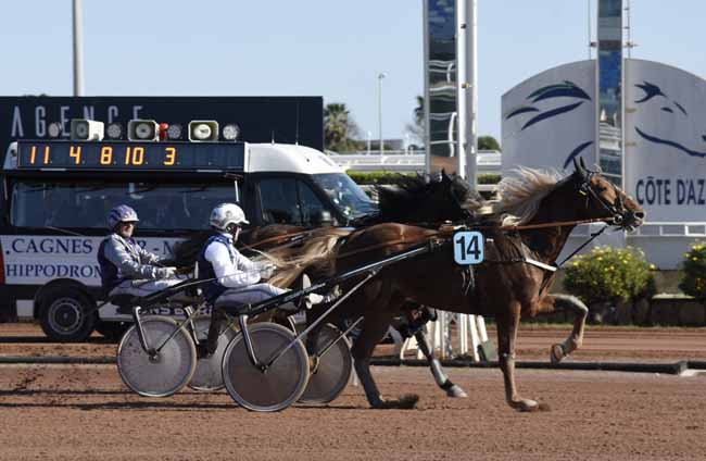 Photo d'arrivée de la course pmu PRIX DE MALMOE à CAGNES-SUR-MER le Vendredi 28 février 2020