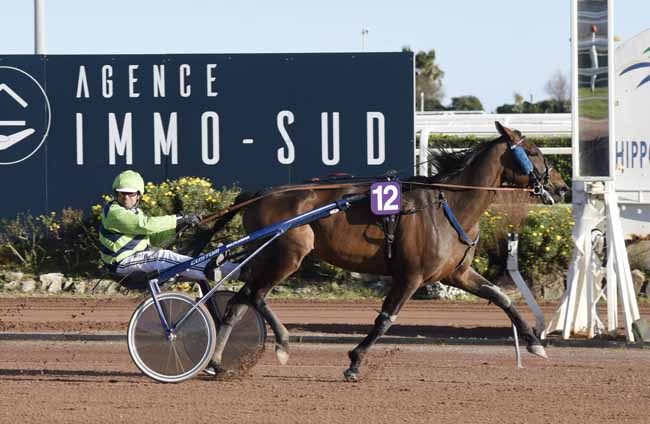 Photo d'arrivée de la course pmu PRIX D'UPPSALA à CAGNES-SUR-MER le Vendredi 28 février 2020