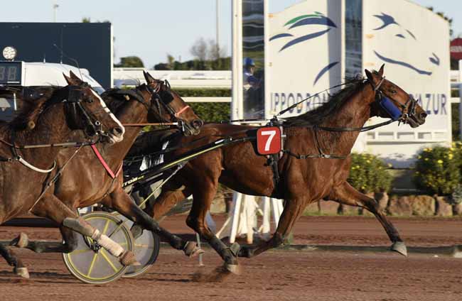 Photo d'arrivée de la course pmu PRIX DE GOTEBORG à CAGNES-SUR-MER le Vendredi 28 février 2020