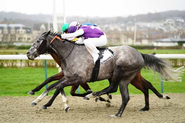 Photo d'arrivée de la course pmu PRIX DE BRANVILLE à DEAUVILLE le Vendredi 28 février 2020