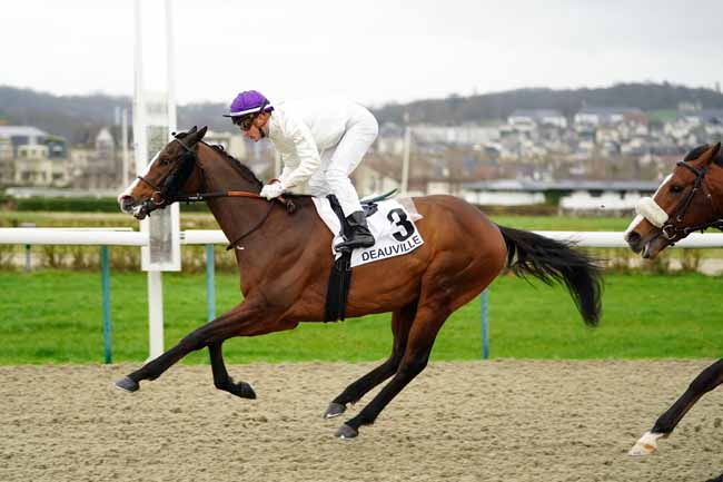 Photo d'arrivée de la course pmu PRIX DE FOLLEVILLE à DEAUVILLE le Vendredi 28 février 2020