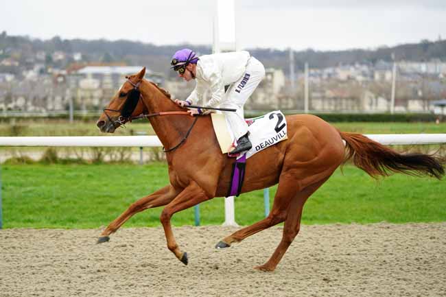 Photo d'arrivée de la course pmu PRIX DU HOULBEC à DEAUVILLE le Vendredi 28 février 2020