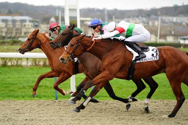 Photo d'arrivée de la course pmu PRIX DU CAP DE LA HAGUE à DEAUVILLE le Vendredi 28 février 2020