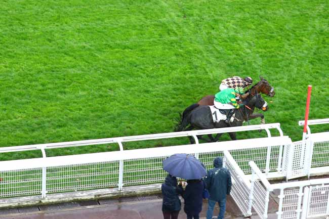 Photo d'arrivée de la course pmu PRIX MARISE à AUTEUIL le Dimanche 1 mars 2020