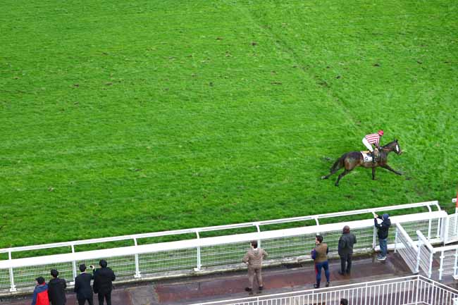 Photo d'arrivée de la course pmu PRIX JEAN DOUMEN à AUTEUIL le Dimanche 1 mars 2020