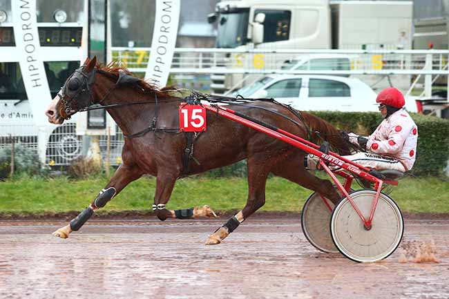 Photo d'arrivée de la course pmu PRIX MOET ET CHANDON à AMIENS le Mercredi 4 mars 2020