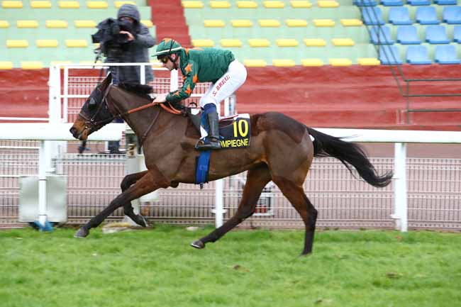 Photo d'arrivée de la course pmu PRIX CARREFOUR DE L'ARMISTICE à COMPIEGNE le Mercredi 4 mars 2020