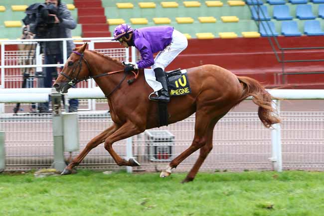 Photo d'arrivée de la course pmu PRIX DU CARREFOUR DU ROND ROYAL à COMPIEGNE le Mercredi 4 mars 2020