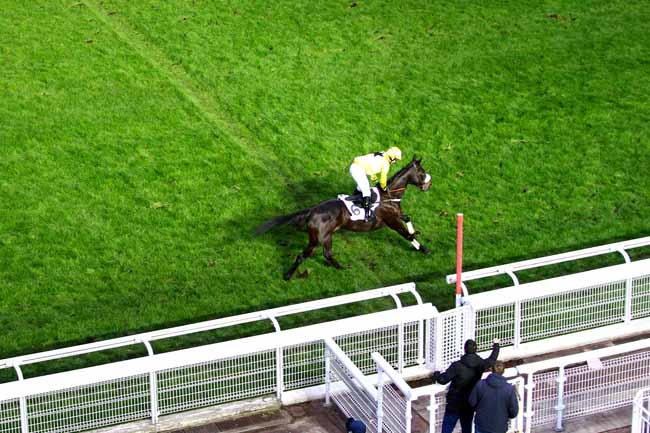 Photo d'arrivée de la course pmu PRIX DE LA SOURCE à AUTEUIL le Samedi 7 mars 2020