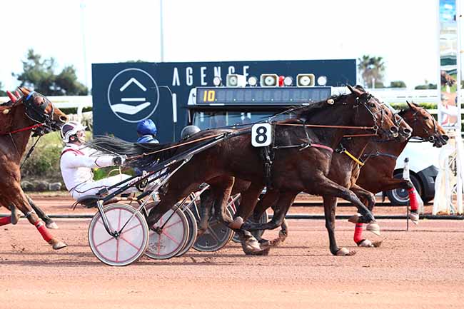 Photo d'arrivée de la course pmu PRIX DE FLORENCE à CAGNES-SUR-MER le Dimanche 8 mars 2020