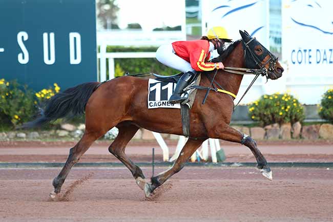 Photo d'arrivée de la course pmu PRIX D'ALBENGA à CAGNES-SUR-MER le Dimanche 8 mars 2020
