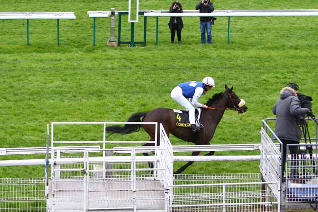 Photo d'arrivée de la course pmu PRIX DE LA CHAPELLE-EN-VEXIN à COMPIEGNE le Dimanche 8 mars 2020