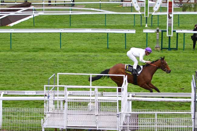 Photo d'arrivée de la course pmu PRIX D'HUMIERES à COMPIEGNE le Dimanche 8 mars 2020