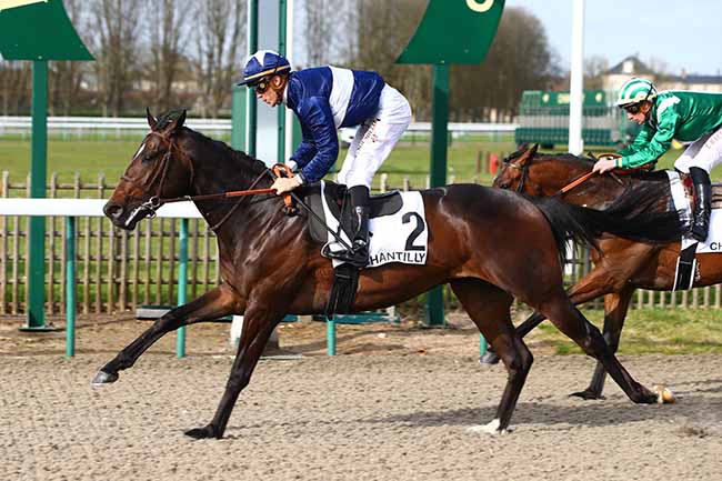 Photo d'arrivée de la course pmu PRIX MAURICE CAILLAULT à CHANTILLY le Lundi 9 mars 2020