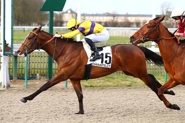 Photo d'arrivée de la course pmu PRIX MOLTON à CHANTILLY le Lundi 9 mars 2020