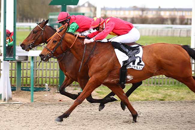 Photo d'arrivée de la course pmu PRIX DU NOYER à CHANTILLY le Lundi 9 mars 2020