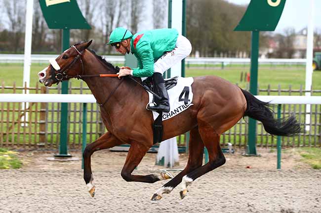 Photo d'arrivée de la course pmu PRIX DE LA QUEUE DU RENARD à CHANTILLY le Mardi 10 mars 2020