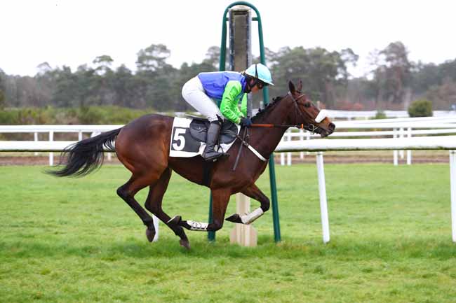 Photo d'arrivée de la course pmu PRIX DU CARREFOUR DE L'OBELISQUE à FONTAINEBLEAU le Mardi 10 mars 2020