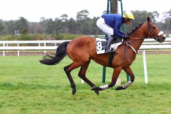 Photo d'arrivée de la course pmu PRIX DE LA SOCIETE DES COURSES DU PIN à FONTAINEBLEAU le Mardi 10 mars 2020