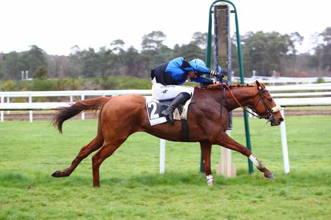 Photo d'arrivée de la course pmu PRIX DIX CORS ROYAL à FONTAINEBLEAU le Mardi 10 mars 2020