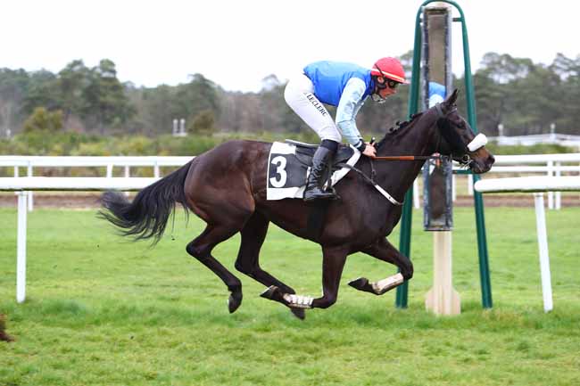 Photo d'arrivée de la course pmu PRIX DU PAVE DU ROY à FONTAINEBLEAU le Mardi 10 mars 2020