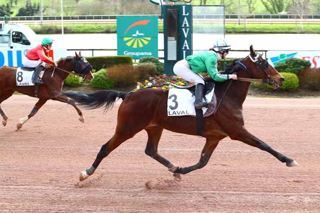 Photo d'arrivée de la course pmu PRIX WWW.HIPPODROME-LAVAL.FR à LAVAL le Mercredi 11 mars 2020