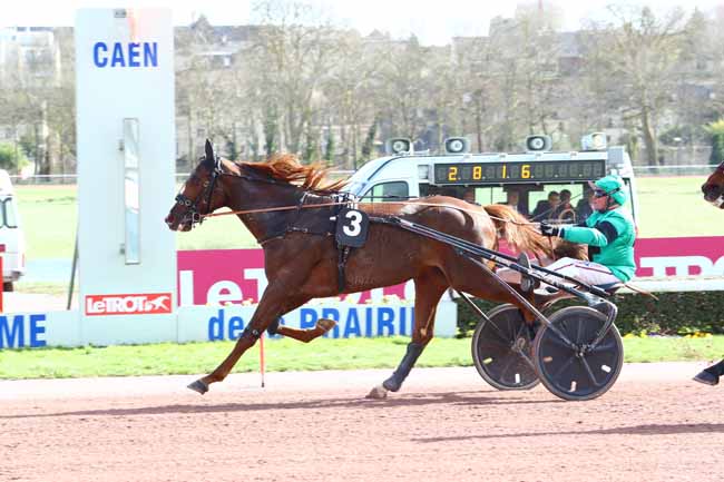 Photo d'arrivée de la course pmu PRIX DE SAINT-WANDRILLE à CAEN le Jeudi 12 mars 2020