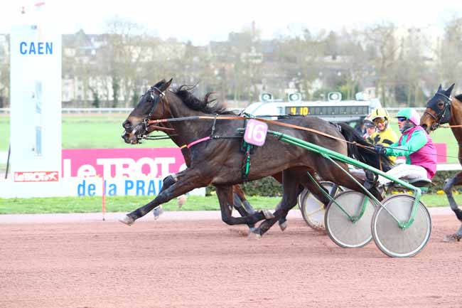 Photo d'arrivée de la course pmu PRIX DE BERVILLE à CAEN le Jeudi 12 mars 2020