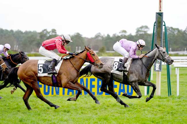 Photo d'arrivée de la course pmu PRIX DE MORET-SUR-LOING à FONTAINEBLEAU le Jeudi 12 mars 2020