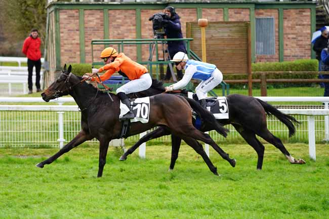 Photo d'arrivée de la course pmu PRIX DE LA MALMONTAGNE à FONTAINEBLEAU le Jeudi 12 mars 2020