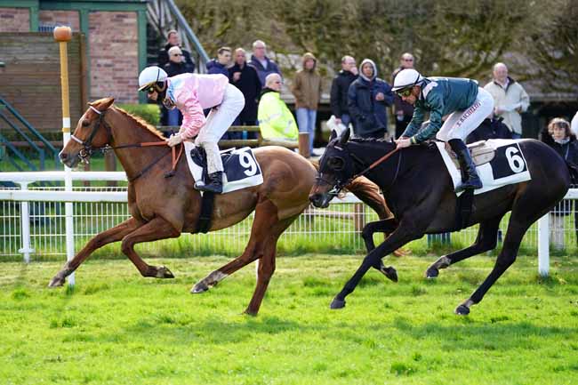 Photo d'arrivée de la course pmu PRIX DE BOIS-LE-ROI à FONTAINEBLEAU le Jeudi 12 mars 2020