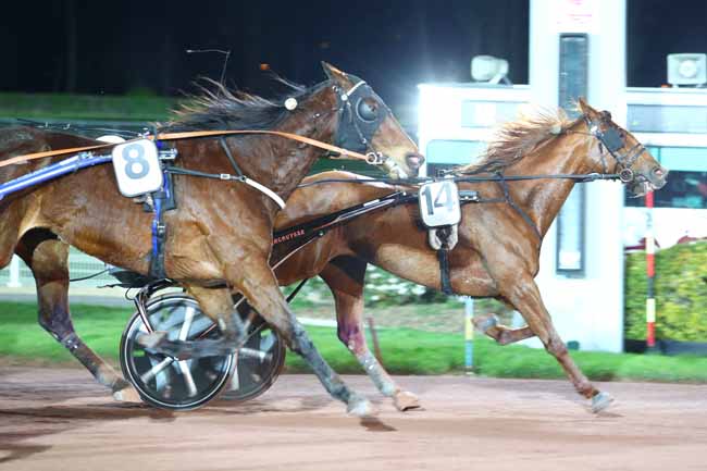 Photo d'arrivée de la course pmu PRIX DE PIERREFITTE-SUR-SEINE à ENGHIEN le Vendredi 13 mars 2020