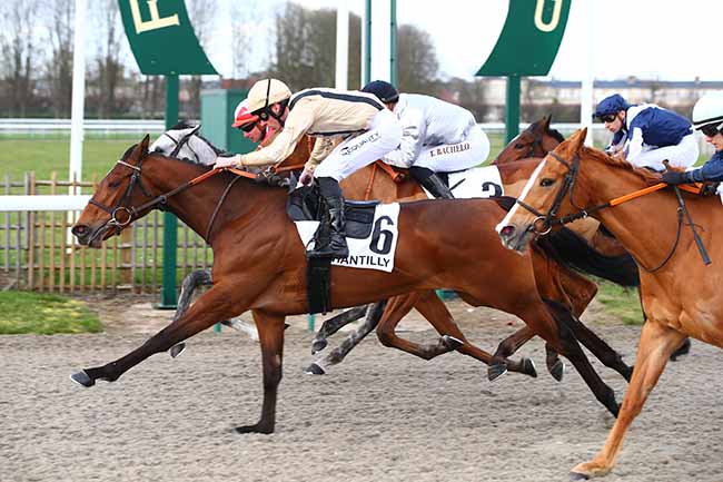 Photo d'arrivée de la course pmu PRIX DU SOISSONNAIS à CHANTILLY le Vendredi 13 mars 2020