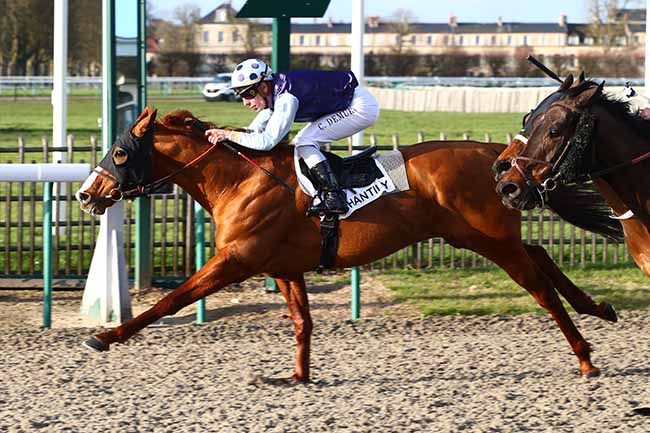 Photo d'arrivée de la course pmu PRIX DE PUISEUX-EN-FRANCE à CHANTILLY le Vendredi 13 mars 2020
