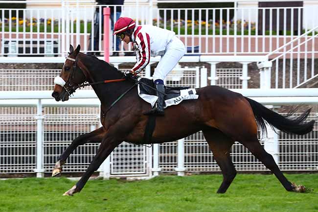 Photo d'arrivée de la course pmu PRIX LILIUM à AUTEUIL le Samedi 14 mars 2020