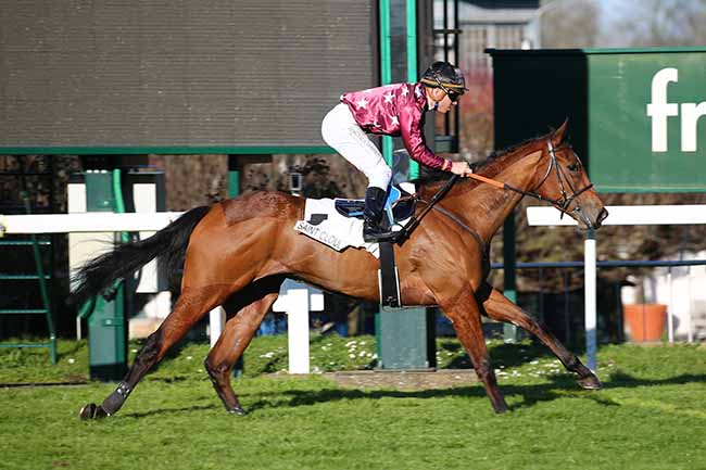 Photo d'arrivée de la course pmu PRIX TIMANDRA à SAINT-CLOUD le Dimanche 15 mars 2020